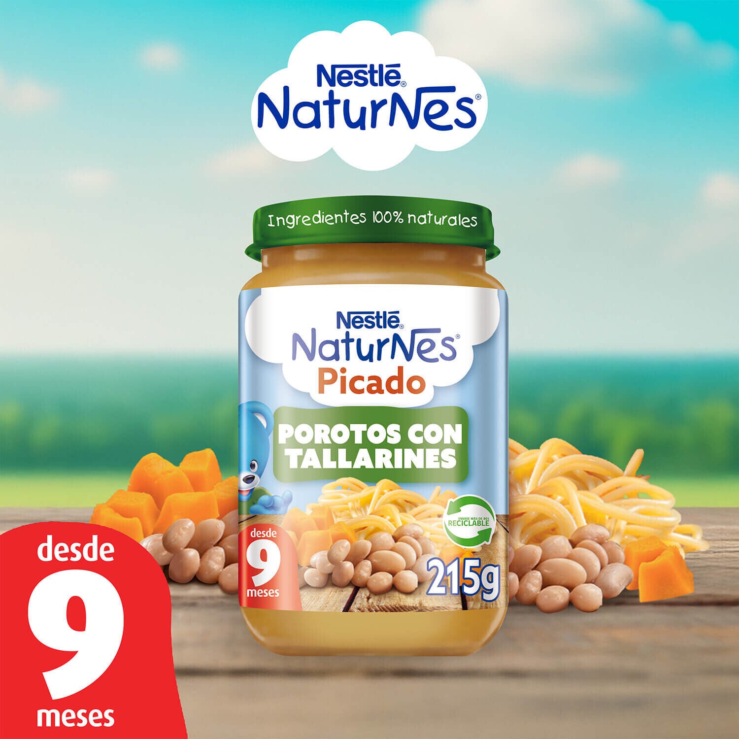 Picado Naturnes Porotos con Tallarines