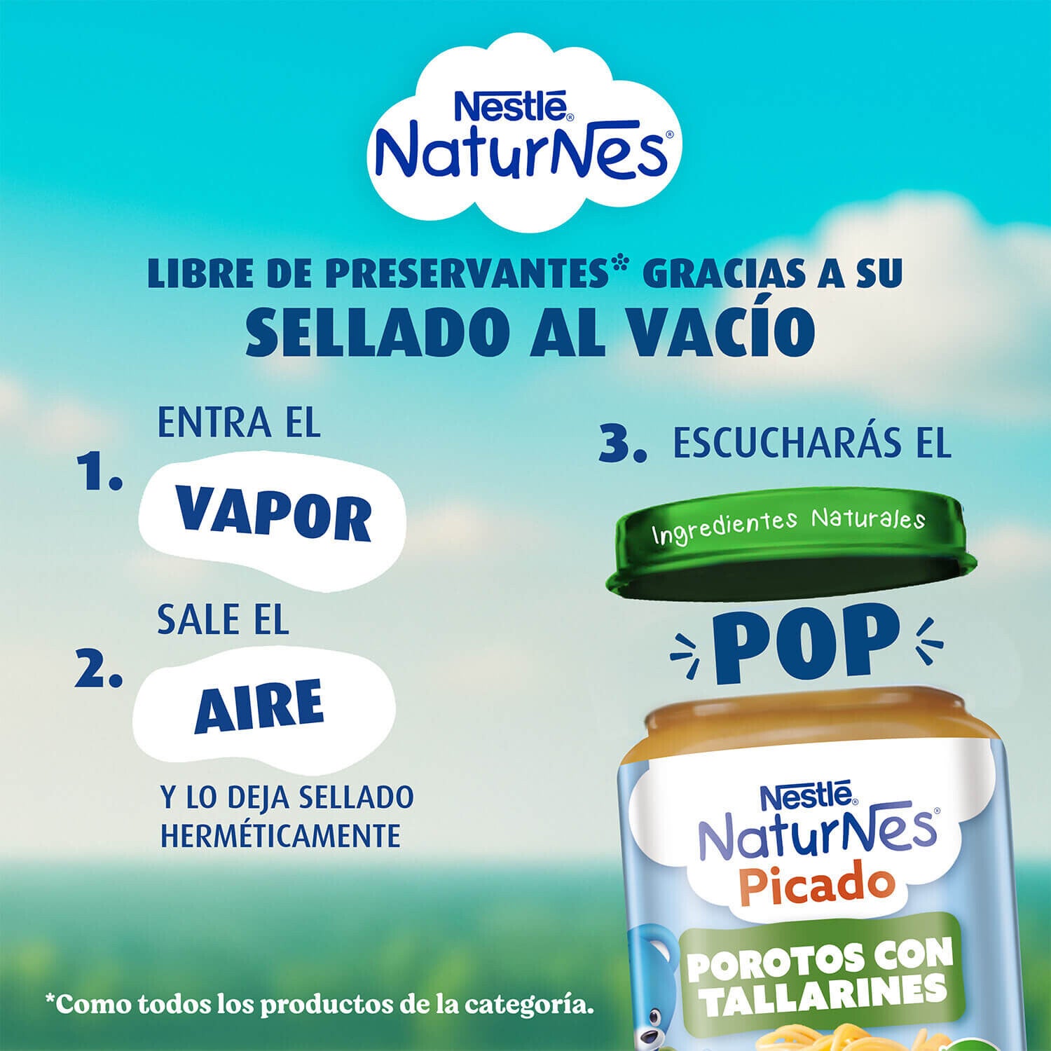 Picado Naturnes Porotos con Tallarines