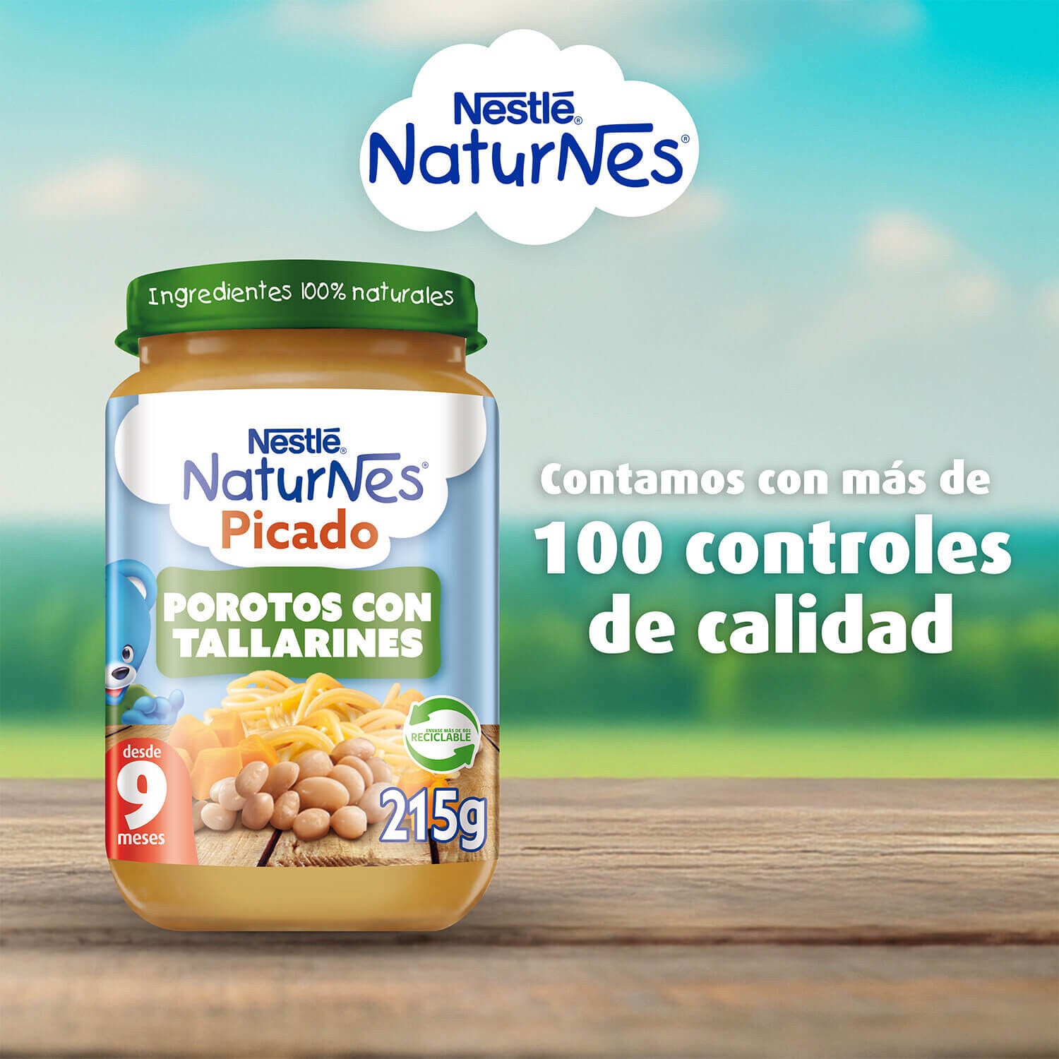 Picado Naturnes Porotos con Tallarines