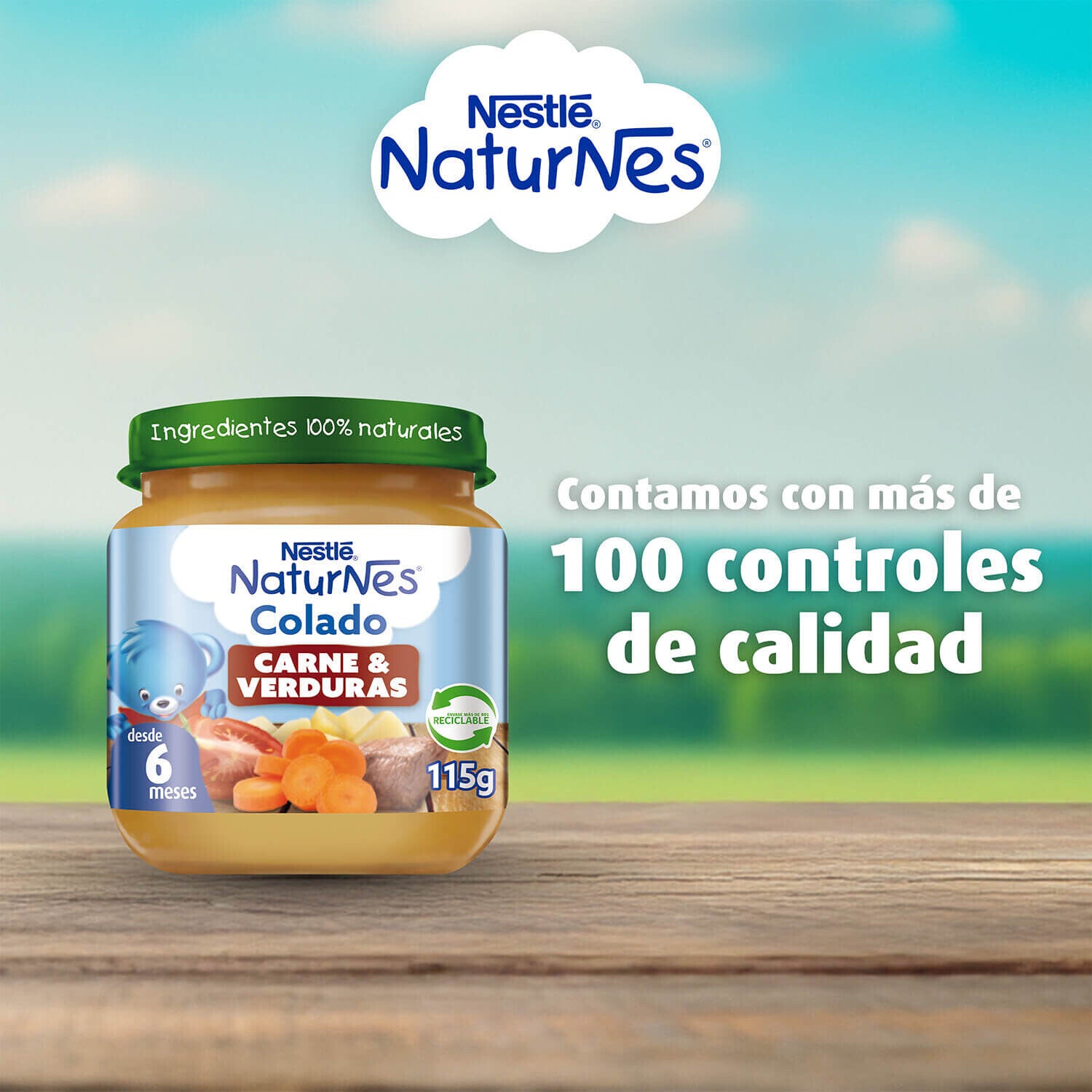 Colado Carne Verduras