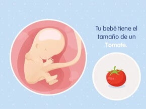 Mi embarazo de 11 semanas Mi embarazo de 11 semanas