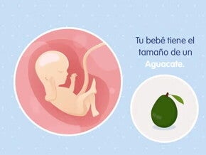 Mi embarazo de 16 semanas