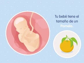 Mi embarazo de 19 semanas