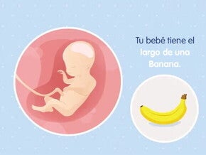 Mi embarazo de 20 semanas