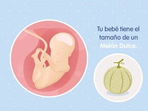 Mi embarazo de 25 semanas