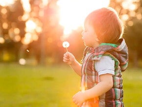 Calculadora de Alergias