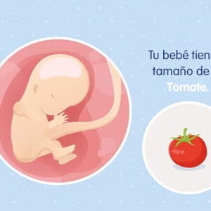 Mi embarazo de 11 semanas Mi embarazo de 11 semanas