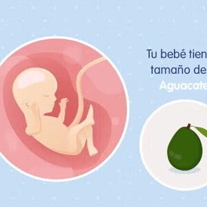 Mi embarazo de 16 semanas Mi embarazo de 16 semanas
