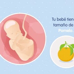 Mi embarazo de 19 semanas Mi embarazo de 19 semanas