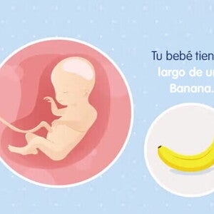 Mi embarazo de 20 semanas Mi embarazo de 20 semanas