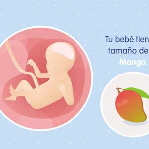 Mi embarazo de 23 semanas Mi embarazo de 23 semanas