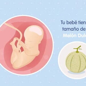 Mi embarazo de 25 semanas Mi embarazo de 25 semanas