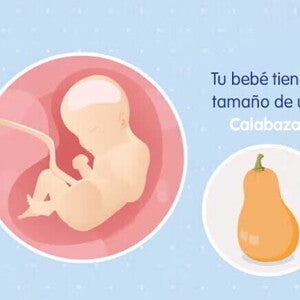 Mi embarazo de 29 semanas Mi embarazo de 29 semanas