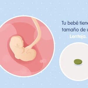 Mi embarazo de 4 semanas Mi embarazo de 4 semanas
