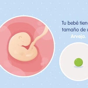 Mi embarazo de 5 semanas Mi embarazo de 5 semanas