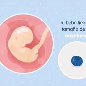 Mi embarazo de 7 semanas Mi embarazo de 7 semanas