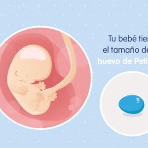 Mi embarazo de 8 semanas Mi embarazo de 8 semanas