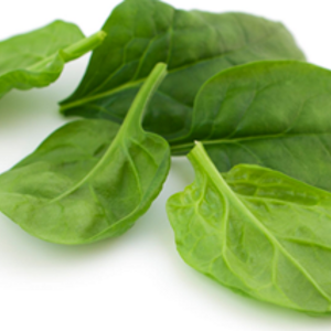 Propiedades nutricionales del puré de espinaca 