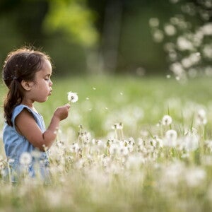 Alergias infantiles y la salud de los niños