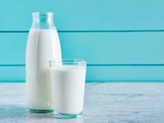 LA IMPORTANCIA DE LA LECHE