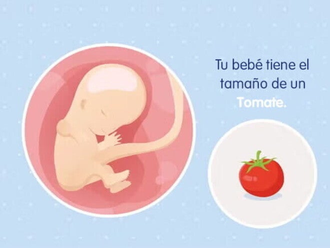 Mi embarazo de 11 semanas