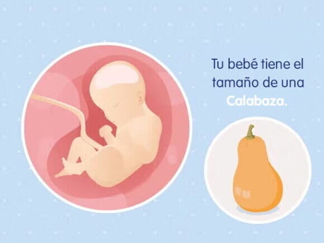 Mi embarazo de 29 semanas