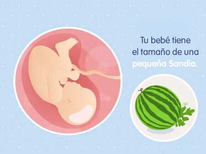 Mi embarazo de 39 semanas