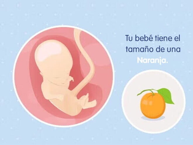 Mi embarazo de 14 semanas