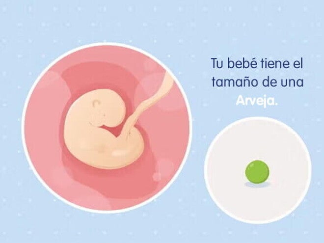 Mi embarazo de 5 semanas Mi embarazo de 5 semanas