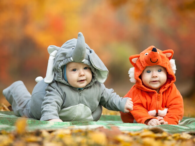 Sociabilización del niño: la importancia de una mascota Sociabilización del niño: la importancia de una mascota