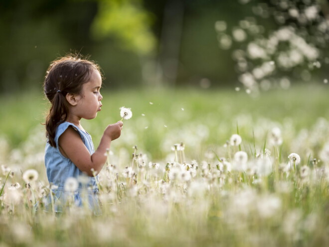 Alergias infantiles y la salud de los niños Alergias infantiles y la salud de los niños