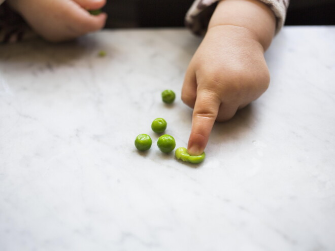 Destete: ¿Cómo ofrecer las primeras comidas del bebé? Destete: ¿Cómo ofrecer las primeras comidas del bebé?