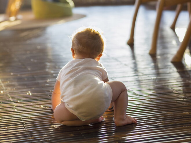 8meses.jpg 8meses.jpg