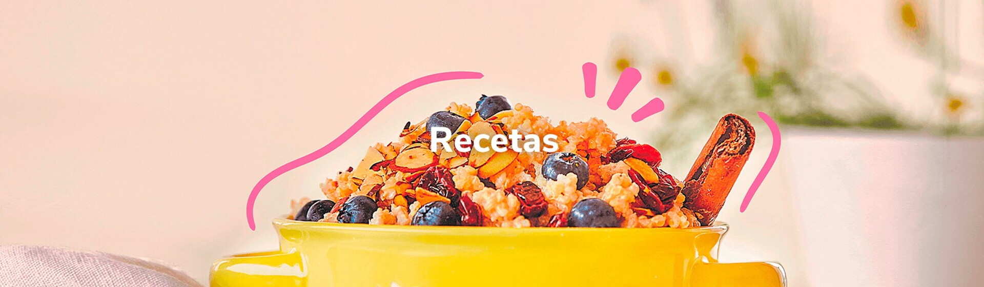 Banner Recetas Banner Recetas