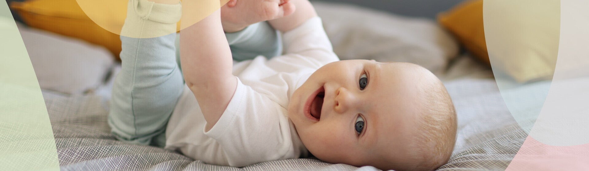 4 a 6 meses 4 a 6 meses