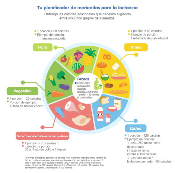 Alimentacion Alimentacion