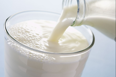 La lactosa es fundamental en la nutrición de los lactantes La lactosa es un carbohidrato importante para los bebés