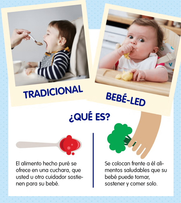 Infografía: destete tradicional y dirigido por bebes Infografía: destete tradicional y dirigido por bebes