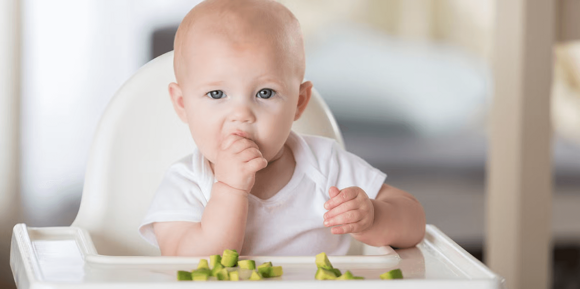 Imagen de un niño comiendo palta Imagen de un niño comiendo palta