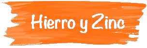Un icono de texto que dice Hierro y Zinc Un icono de texto que dice Hierro y Zinc