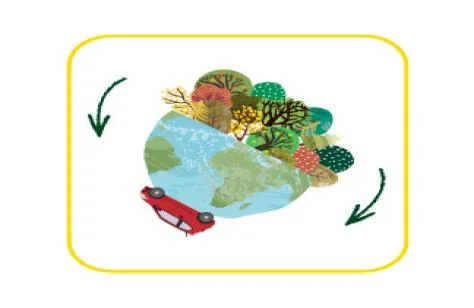 reforestacion reforestacion