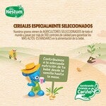 Cereal Infantil Nestum Frutilla® 250g